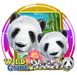 รีวิวเกมWild Giant Panda 