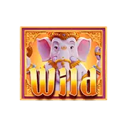 สัญลักษณ์ Wild Ganesha Fortune