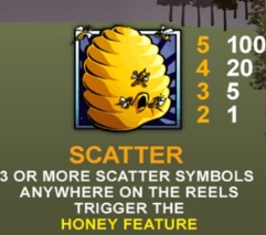 สัญลักษณ์ scatter Bonus Bear