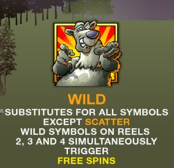 สัญลักษณ์ wild Bonus Bear