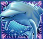 สัญลักษณ์ wild Dolphin Reef