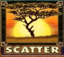 สัญลักษณ์ scatter Safari Heat