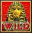 สัญลักษณ์ Wild Ancient Egypt