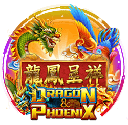 รีวิวเกม Dragon Phoenix